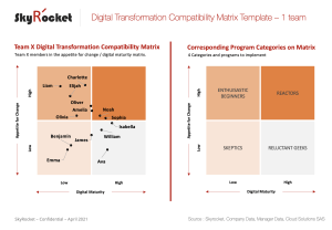 Team Digital Transformation Matrix Template