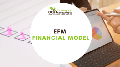 EFM Financial Model
