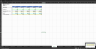 Hotel Startup Projection