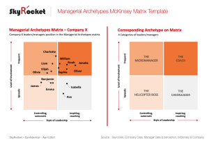 Managerial Archetypes McKinsey Matrix Template