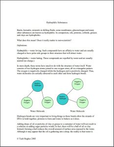 Whitepaper: The Differences Between Hydrophilic and Hydrophobic Substances