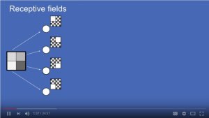 Deep Neural Networks Tutorial