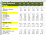 Standard 5 Years Projections Financial Excel Model