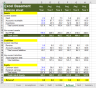 Standard 5 Years Projections Financial Excel Model