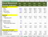 Standard 5 Years Projections Financial Excel Model