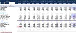 Startup Business Plan - Consulting Firm