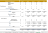 Project Development Financial Model