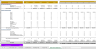 Project Development Financial Model