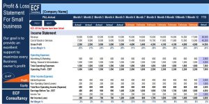 Monthly Profit & Loss Statement for a Small Business