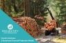 Forestry Financial Projection 3 Statement Model