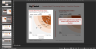 Forrester Wave™ - Purchasing Options Template