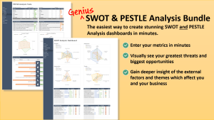 SWOT & PESTLE Analysis Bundle
