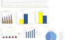 Carpet Cleaning Financial Model Excel Template