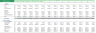 Bowling Excel Financial Model Template