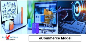 eCommerce Website Financial Model