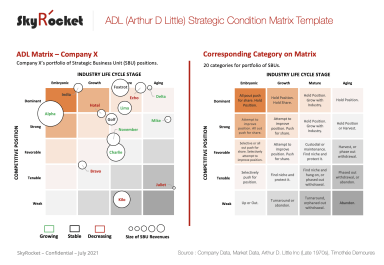 ADL (Arthur D Little) Strategic Condition Matrix Framework Template