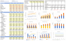 Financial Analysis Template - 5yr Historicals