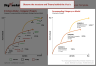 McKinsey's Strategic Three Horizons Model Framework Template