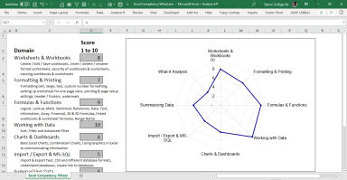Excel Competency Wheel | Reflect on what you know in Excel