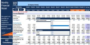 Monthly Financial Model Actual vs Budget-10Yr. plan & Valuation