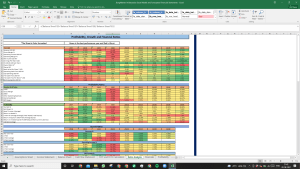 BorgWagner Inc Valuation Excel Model: Complete DCF Valuation with Forecasted Financial Statements