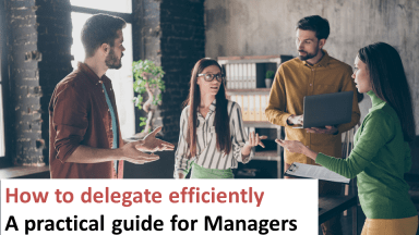 How to delegate work efficiently  - a practical guide for Management Consultants and Managers