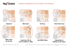 McKinsey’s Portfolio of Initiatives Framework Template