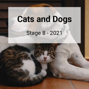 Stage 8 (2021) 