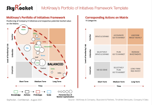 McKinsey’s Portfolio of Initiatives Framework Template