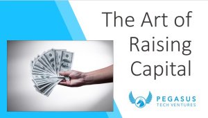 The Art of Raising Capital