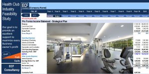 Financial Feasibility Study - Health Club Industry