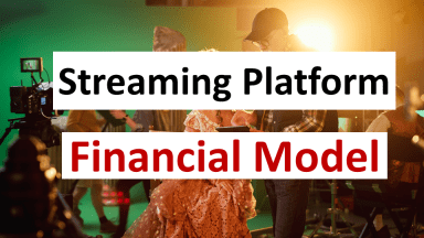 Streaming Platform (Netflix, HBO, Disney +, Hulu, Twitch) – Financial Model