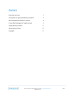 The System for Optimized Revenue Growth℠ - Page 2