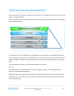 The System for Optimized Revenue Growth℠ - Page 4