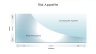 Risk Management Presentation