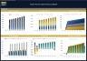 Theme Park & Hotel Financial Model (Construction, Operation & Valuation)