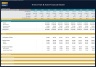 Theme Park & Hotel Financial Model (Construction, Operation & Valuation)