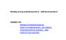 Ranking of Potential New Products in Excel (Management Consulting Projects)