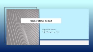 Project Status Report