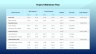 Project Status Report