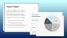 Project Status Report