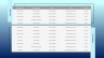 Project Status Report