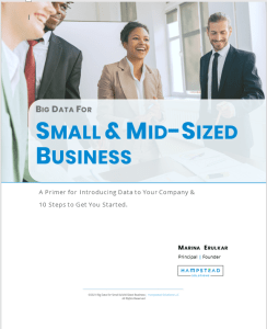 Big Data for Small and Mid-Sized Business